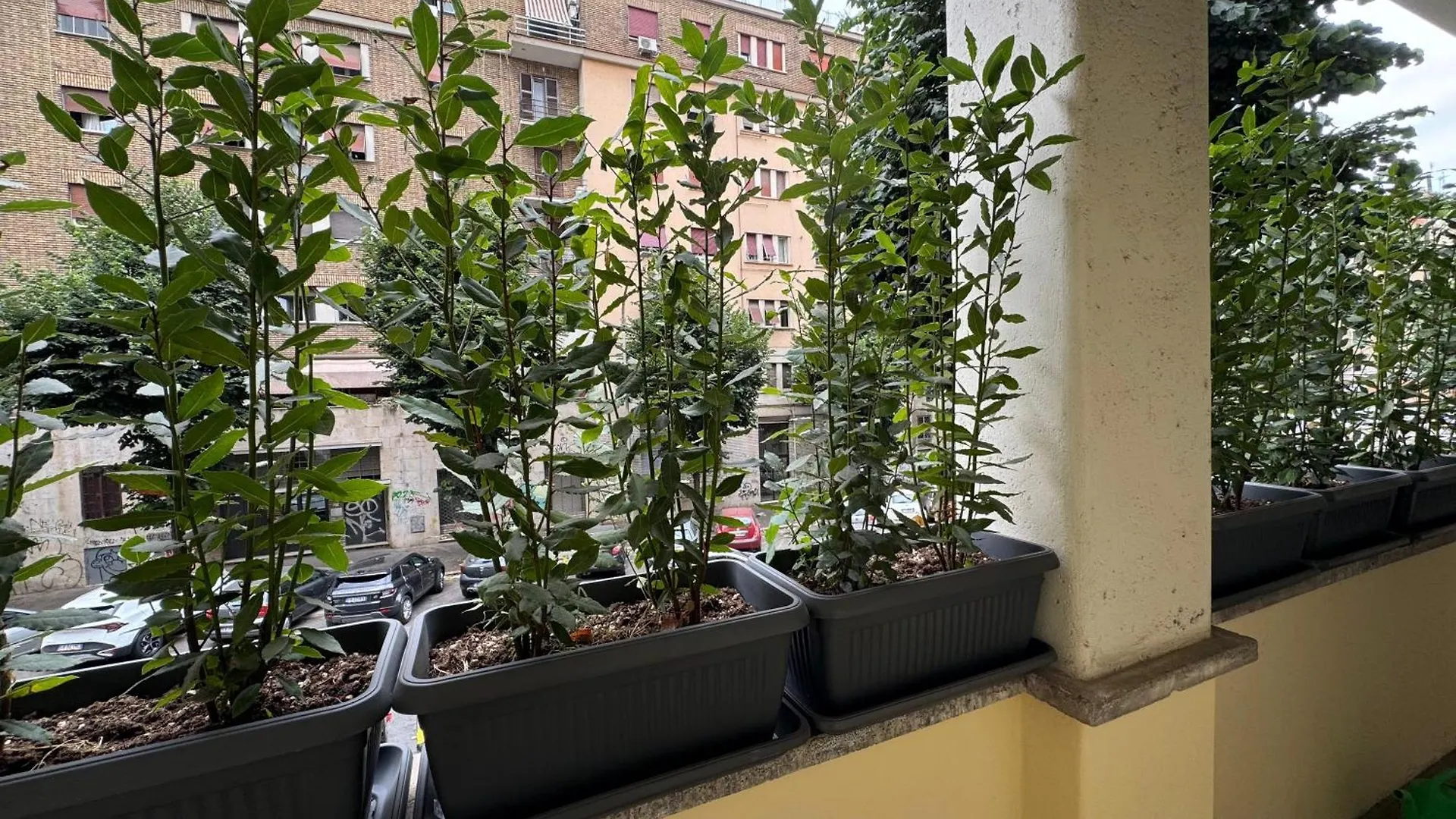 Apartment Star Light Family Home Rome